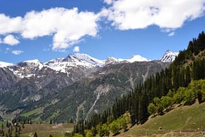 Jammu - Kashmir